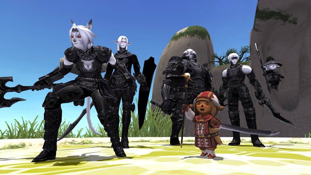 Final Fantasy XI Is So Alive Its Biggest Servers Are Getting Too Full