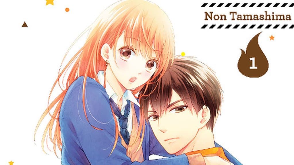 My Boyfriend in Orange 漫畫連載十年後即將完結